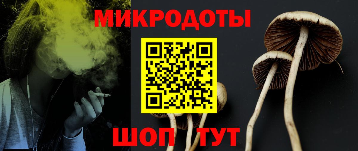 Псилоцибиновые грибы мицелий  Псилоцибиновые грибы мицелий  Вход с VPN  Куйбышев 